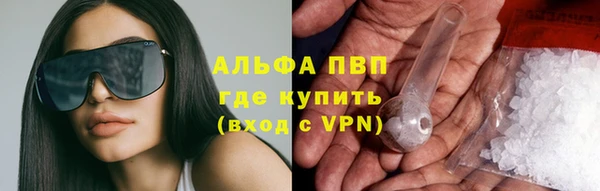 apvp Алзамай