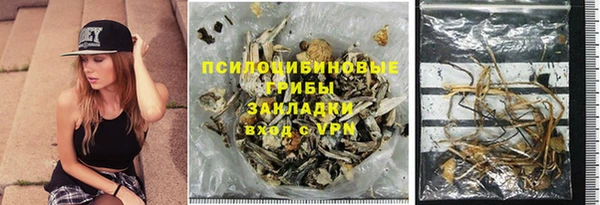 apvp Алексин