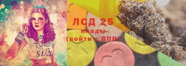 apvp Алзамай