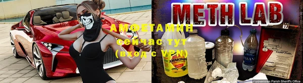 apvp Алзамай
